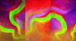 Anne Madden, Aurora borealis, Snake of Light, 2006, oil on linen, triptych, 146 x 267 cm, Private Collection Anne Madden, Aurora borealis, Snake of Light, 2006, oil on linen, triptych, 146 x 267 cm, Private Collection