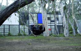 Aur�lien Froment. Swing (Case Study House #8), 2008, performance view. Courtesy Aur�lien Froment, Store and Motive Gallery