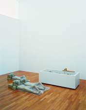 Isolated Bathroom, 2003, Iron bathtub with wooden tap, water pump, thin plastic sheeting, painted aluminium, ceramic, wigs, 450 x 300 x 75 cm, Sammlung Goetz, Munich Isolated Bathroom, 2003, Iron bathtub with wooden tap, water pump, thin plastic sheeting, painted aluminium, ceramic, wigs, 450 x 300 x 75 cm, Sammlung Goetz, Munich