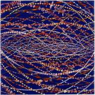 Fred Tomaselli, Doppler Effect in Blue, 2002, Leaves, pills, photocollage, acrylic and resin on wood panel, 61 x 61cm, Collection of Raymond Foye Fred Tomaselli, Doppler Effect in Blue, 2002, Leaves, pills, photocollage, acrylic and resin on wood panel, 61 x 61cm, Collection of Raymond Foye