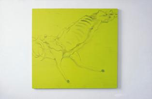 Ciaran Murphy, Carcass (large), 122 x 130 cm, oil on MDF, 2007