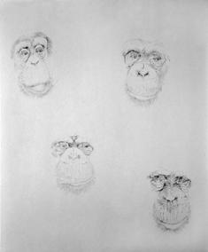 Untitled (from the 2006 drawing series), Alexandra Do Carmo, Process Room, IMMA