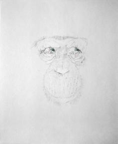 Untitled (from the 2006 drawing series), Alexandra Do Carmo, Process Room, IMMA