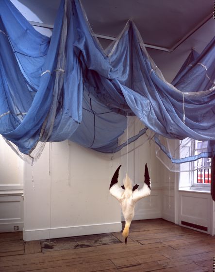 Dorothy Cross, Parachute, 2005, Dimensions variable, Parachute and gannet, Purchase, 2005, Collection Irish Museum of Modern Art Dorothy Cross, Parachute, 2005, Dimensions variable, Parachute and gannet, Purchase, 2005, Collection Irish Museum of Modern Art