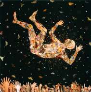 Fred Tomaselli, Expecting to Fly, 2002, Photocollage, leaves, acrylic, gouache and resin on wood panel, 122 x 122cm, Collection of Janice and Mickey Cartin Fred Tomaselli, Expecting to Fly, 2002, Photocollage, leaves, acrylic, gouache and resin on wood panel, 122 x 122cm, Collection of Janice and Mickey Cartin