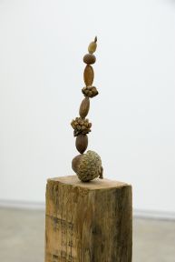 Gareth Moore, Judd also planted these trees (detail), 2006–2009, Nectarine pit, apple seed, Rothko pecan, Judd cone, unidentified seeds and nuts, found wood, 46 1/2