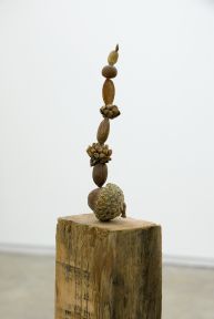 Gareth Moore, Judd also planted these trees (detail), 2006�2009, Nectarine pit, apple seed, Rothko pecan, Judd cone, unidentified seeds and nuts, found wood, 46 1/2
