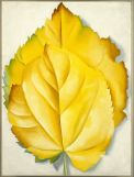Georgia O’Keeffe, Yellow Leaves, 1928, oil on canvas, 40 x 30 inches, Courtesy Brooklyn Museum. 87. 136.1. Bequest of Georgia O’Keeffe, © ARS, NY and DACS, London 2007 Georgia O’Keeffe, Yellow Leaves, 1928, oil on canvas, 40 x 30 inches, Courtesy Brooklyn Museum. 87. 136.1. Bequest of Georgia O’Keeffe, © ARS, NY and DACS, London 2007