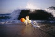 Janaina Tschäpe, Dani 1, 2003, Cibachrome, 40 x 50 inches, Private Collection Janaina Tschäpe, Dani 1, 2003, Cibachrome, 40 x 50 inches, Private Collection