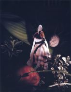 Janaina Tschäpe, A Botanist's Dream 5, 2006, Polaroid, 9 1/2 x 71/2 inches, Courtesy of the Artist and Sikkema Jenkins & Co Janaina Tschäpe, A Botanist's Dream 5, 2006, Polaroid, 9 1/2 x 71/2 inches, Courtesy of the Artist and Sikkema Jenkins & Co