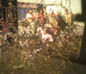 Lorena Carbajal, On how memories are stored, 2008, Courtesy of the artist