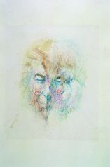 Louis le Brocquy, Image of Seamus Heaney, 1993, Watercolour, pastel and collage on paper, 47 x 62 cm, Collection Irish Museum of Modern Art Louis le Brocquy, Image of Seamus Heaney, 1993, Watercolour, pastel and collage on paper, 47 x 62 cm, Collection Irish Museum of Modern Art