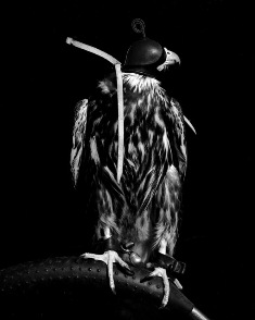 The Sleep of Reason II, Process Room, IMMA, 2007