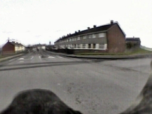 Sean Lynch, Peregrine Falcons Visit Moyross, Process Room, IMMA, 2008