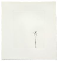 William McKeown, Snowdrop, 2008, Etching, 46 x 38cm, Collection Irish Museum of Modern Art, IMMA Editions, Donated by the artist, 2008 William McKeown, Snowdrop, 2008, Etching, 46 x 38cm, Collection Irish Museum of Modern Art, IMMA Editions, Donated by the artist, 2008